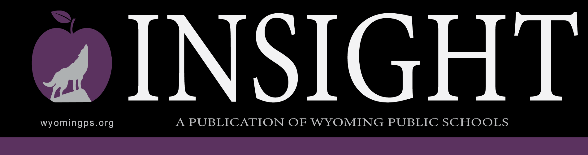 Insight Logo